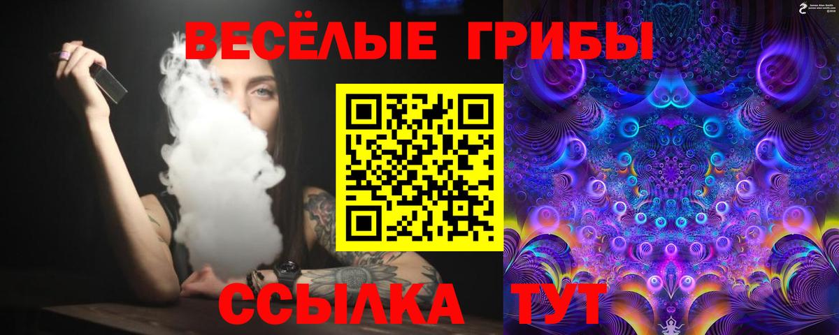 Псилоцибиновые грибы GOLDEN TEACHER  сколько стоит  Липецк  Псилоцибиновые грибы мицелий  Вход с VPN 